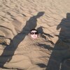 Григорьев, 38, г.Ядрин Григорьев, 38, г.Ядрин