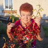 ЛЮДМИЛА БОНДАРЕВА, 64, г.Миллерово ЛЮДМИЛА БОНДАРЕВА, 64, г.Миллерово