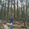 abell, 26, г.Джакарта abell, 26, г.Джакарта