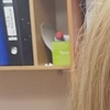 Саша, 38, г.Хабаровск Саша, 38, г.Хабаровск