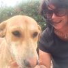 Людмила, 50, г.Белоярский (Тюменская обл.) Людмила, 50, г.Белоярский (Тюменская обл.)