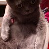 klavvvvv ghhink, 19, г.Аватхара klavvvvv ghhink, 19, г.Аватхара
