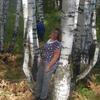 Магира Gamirovna, 66, г.Октябрьский Магира Gamirovna, 66, г.Октябрьский