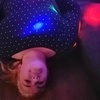 Леся, 26, г.Воложин Леся, 26, г.Воложин