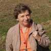 Ирина, 57, г.Берлин Ирина, 57, г.Берлин