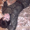 Ирина, 48, г.Петровск Ирина, 48, г.Петровск